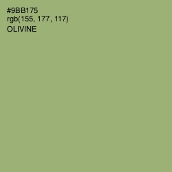 #9BB175 - Olivine Color Image