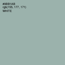 #9BB1AB - Summer Green Color Image