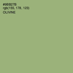 #9BB27B - Olivine Color Image