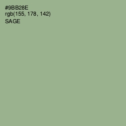 #9BB28E - Sage Color Image
