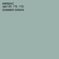 #9BB2AC - Summer Green Color Image