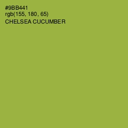#9BB441 - Chelsea Cucumber Color Image