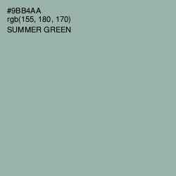 #9BB4AA - Summer Green Color Image