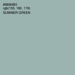 #9BB4B0 - Summer Green Color Image