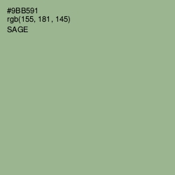 #9BB591 - Sage Color Image