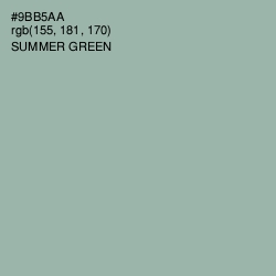 #9BB5AA - Summer Green Color Image