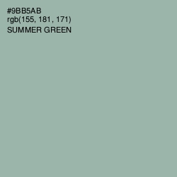 #9BB5AB - Summer Green Color Image