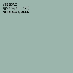 #9BB5AC - Summer Green Color Image
