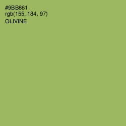 #9BB861 - Olivine Color Image