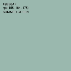 #9BB8AF - Summer Green Color Image