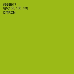 #9BB917 - Citron Color Image