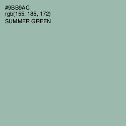 #9BB9AC - Summer Green Color Image