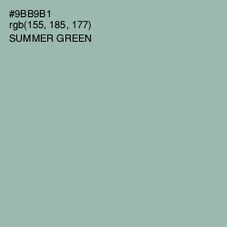 #9BB9B1 - Summer Green Color Image