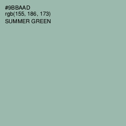 #9BBAAD - Summer Green Color Image