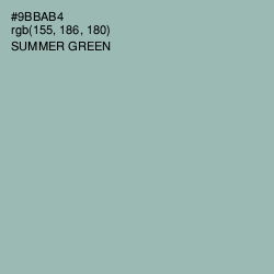 #9BBAB4 - Summer Green Color Image