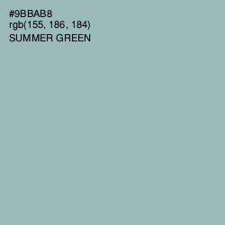 #9BBAB8 - Summer Green Color Image