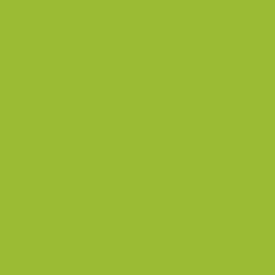 #9BBB35 - Sushi Color Image