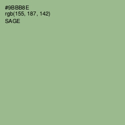 #9BBB8E - Sage Color Image
