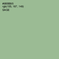 #9BBB95 - Sage Color Image