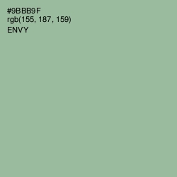 #9BBB9F - Envy Color Image