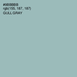 #9BBBBB - Gull Gray Color Image