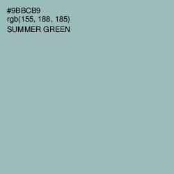 #9BBCB9 - Summer Green Color Image