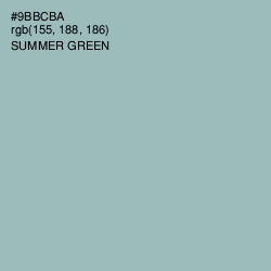 #9BBCBA - Summer Green Color Image