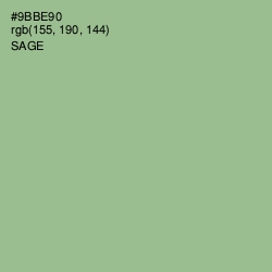 #9BBE90 - Sage Color Image