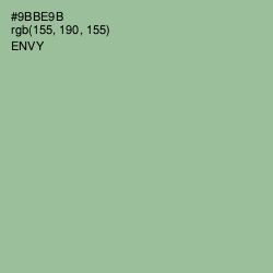 #9BBE9B - Envy Color Image