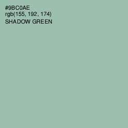 #9BC0AE - Shadow Green Color Image