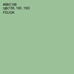 #9BC198 - Feijoa Color Image