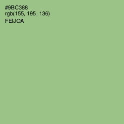 #9BC388 - Feijoa Color Image