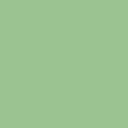 #9BC392 - Feijoa Color Image