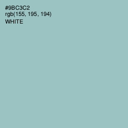 #9BC3C2 - Half Baked Color Image