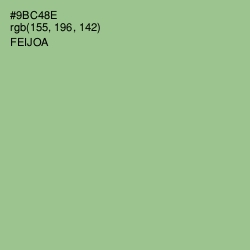 #9BC48E - Feijoa Color Image