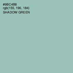 #9BC4B8 - Shadow Green Color Image