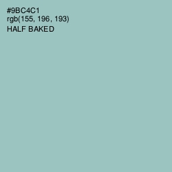 #9BC4C1 - Half Baked Color Image