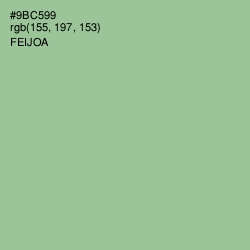 #9BC599 - Feijoa Color Image