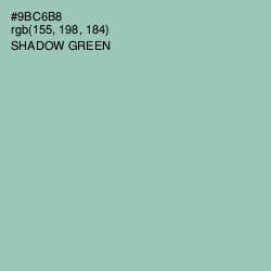 #9BC6B8 - Shadow Green Color Image