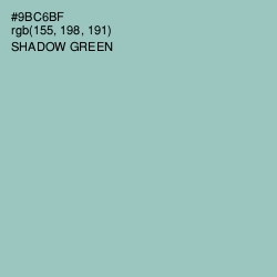 #9BC6BF - Shadow Green Color Image