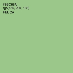 #9BC88A - Feijoa Color Image