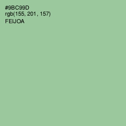 #9BC99D - Feijoa Color Image