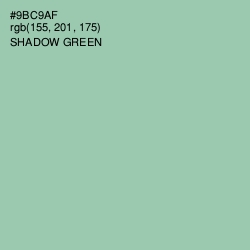 #9BC9AF - Shadow Green Color Image