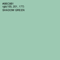 #9BC9B1 - Shadow Green Color Image