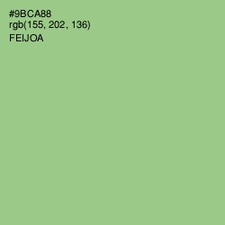 #9BCA88 - Feijoa Color Image