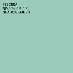 #9BCBBA - Shadow Green Color Image