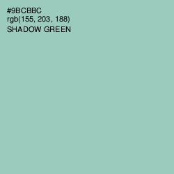 #9BCBBC - Shadow Green Color Image