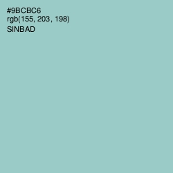 #9BCBC6 - Sinbad Color Image
