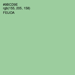 #9BCD9E - Feijoa Color Image