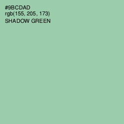 #9BCDAD - Shadow Green Color Image
